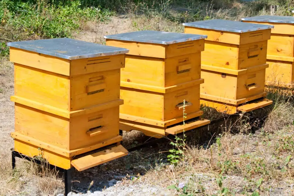 Moderner Bienenstock